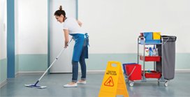 Housekeeping Services